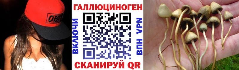 Псилоцибиновые грибы мухоморы  как найти   MEGA   Великие Луки 